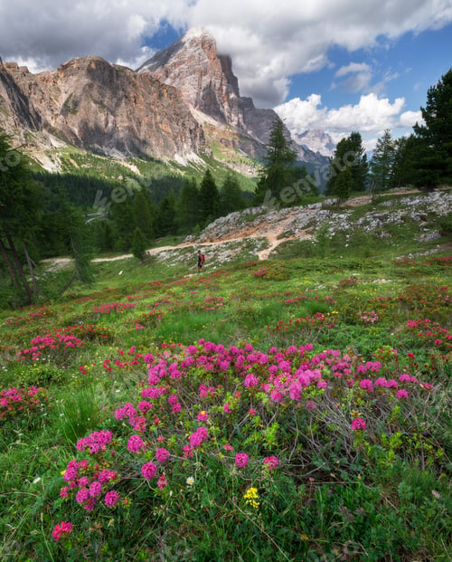 Preview: Male Hiker Exploring The Dolomites Landscape