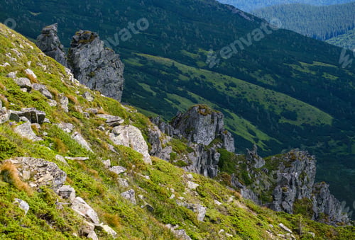 Preview: Summer Mountain Slope With Picturesque Rock Formations. Shpyci Mountain, Carpathian, Ukraine.