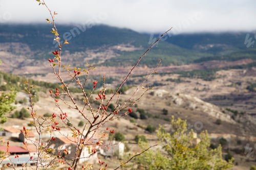 Preview: Gudar Sierra Teruel Mountains Spain