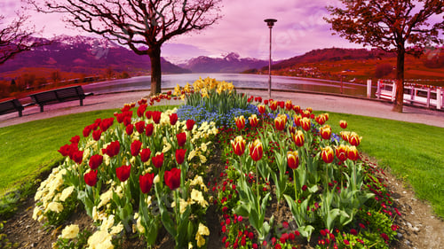Preview: Landscaped Park With Flower Beds Near The Lake In Switzerland