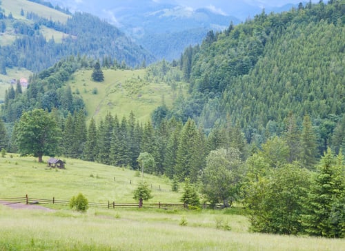 Preview: Summer Mountain View With Wooden Shed On Green Meadow