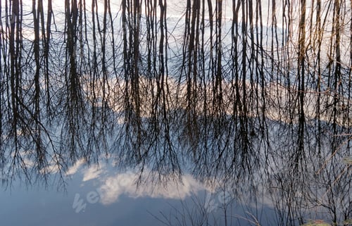Preview: Inverted World Of Water Reflection (Spring Trees And Clouds On Sky)