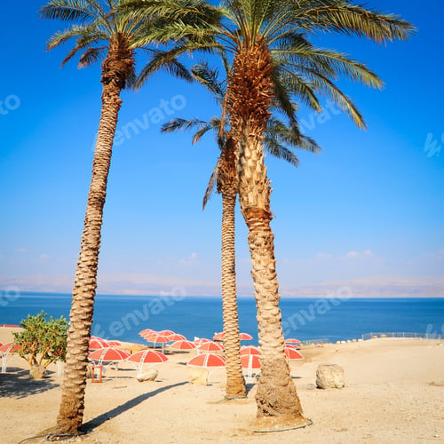 Preview: Umbrellas On Sandy Beach Of Dead Sea, Israel,