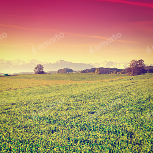 Preview: Pasture On The Background Of Snow-Capped Alps In Switzerland At Sunset, Instagram Effect