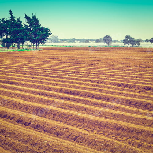 Preview: Plowed Fields On The Background Of Greenhouse In Italy, Instagram Effect