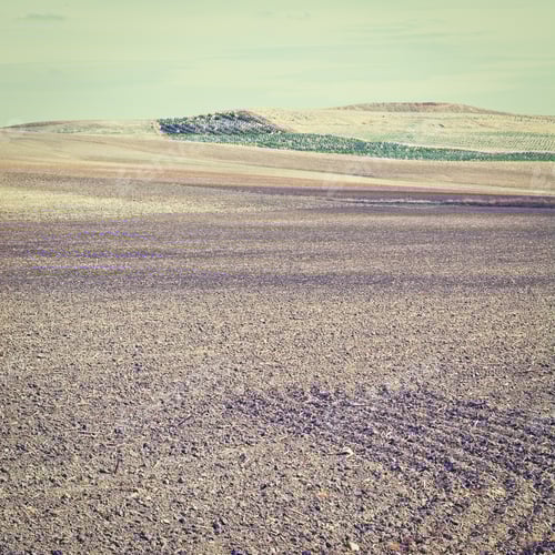 Preview: Plowed Sloping Hills Of Spain In The Autumn On The Background Of The Olive Groves, Instagram Effect