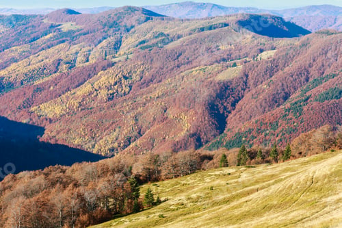 Preview: Colored Mountain Slopes In Autumn Carpathian. Morning Misty View.