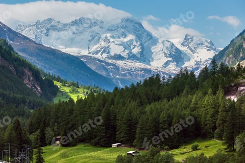 Preview: Summer Alps Mountain Landscape With Fir Forest On Slope And Snow Covered Rocky Tops In Far