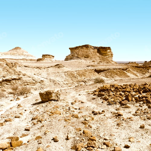 Preview: Stony Canyon Of The Negev Desert In Israel