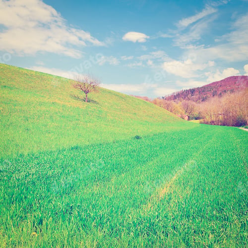 Preview: Farmhouse In The Swiss Alps, Instagram Effect