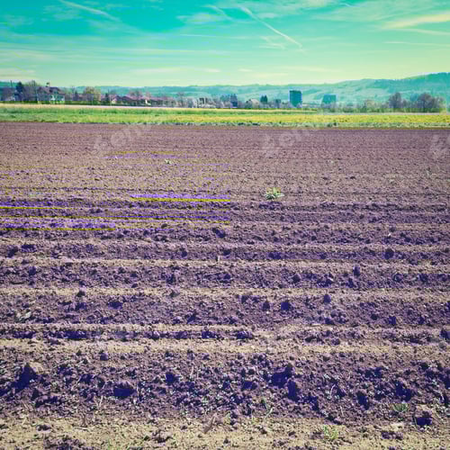 Preview: The Swiss Village Surrounded By Forests And Plowed Fields, Instagram Effect