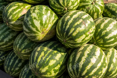 Preview: Many Ripe Watermelons On Store