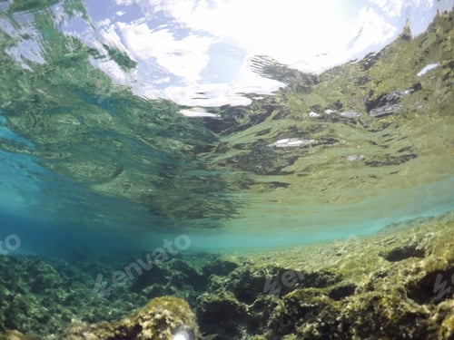 Preview: Underwater Image In Formentera Island Balearics Spain Es Calo De San Agusti Coast