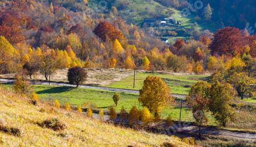 Preview: Dirty Secondary Road To Mountain Pass In Autumn Carpathian Mountains And Multicolored