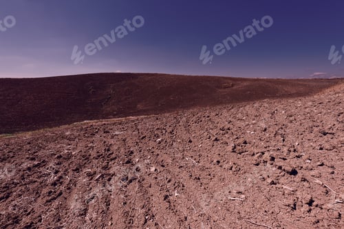 Preview: Plowed Sloping Hills Of Sicily In The Spring At Sunset