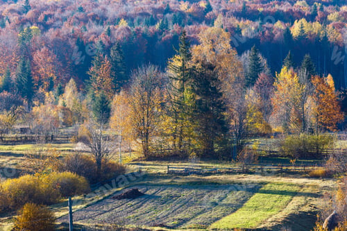 Preview: Autumn Carpathian Village Landscape (Ivano-Frankivsk Oblast, Ukraine). Rural Scene.