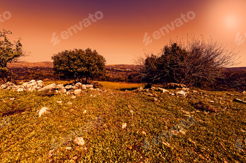 Preview: The Nature Of The Western Galilee In Israel With Forests, Rocks, Gorges And Olive Groves At Sunset