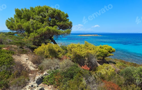 Preview: Summer Aegean Sea Coast Landscape With Pine Trees (Chalkidiki, Greece).