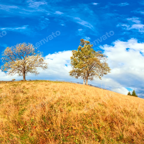 Preview: Autumn Mountain Hill With Colorful Trees (Carpathians, Ukraine)