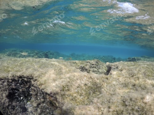 Preview: Underwater Image In Formentera Island Balearics Spain Es Calo De San Agusti Coast
