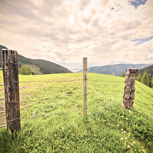 Preview: Pasture Fenced With Barbed Wire In The Austrian Alps On The Background Of Snow-Capped Peaks