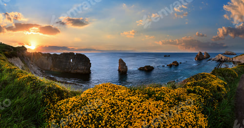 Preview: Blossoming Arnia Beach (Spain). Atlantic Ocean Evening Coastline Landscape.