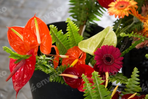 Preview: Flower Bunches Public Market In Ponta Delgada Sao Miguel Island Azores Portugal
