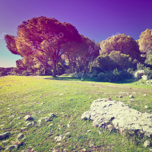 Preview: Big Stones On The Clearing In Galilee At Sunset, Israel, Instagram Effect