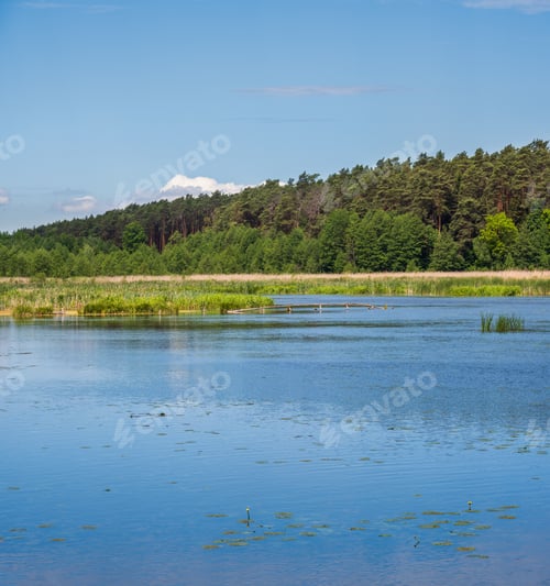 Preview: Summer Countryside Valley Rushy Lake Landscape. Wooden Footbridge In Far.