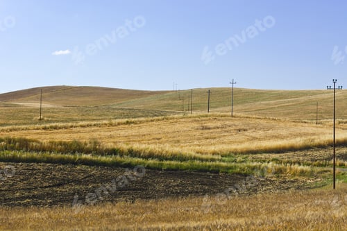 Preview: Wheat Field On The Hills In Sicily