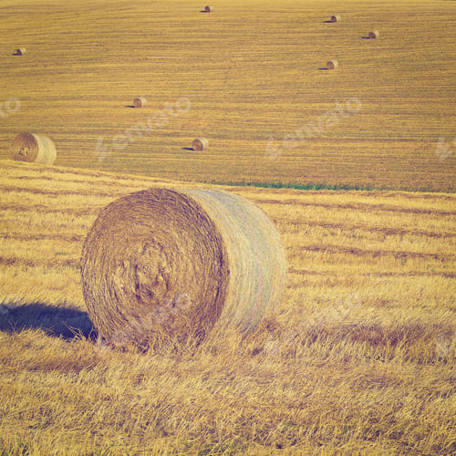 Preview: Landscape With Many Hay Bales In Italy, Instagram Effect