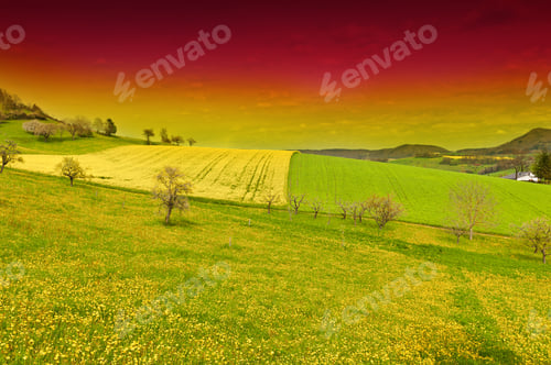 Preview: Green And Yellow Fields In Swiss Alps At Sunset