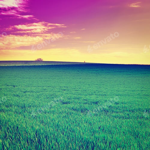 Preview: Alpine Pasture In Switzerland At Sunset, Retro Effect