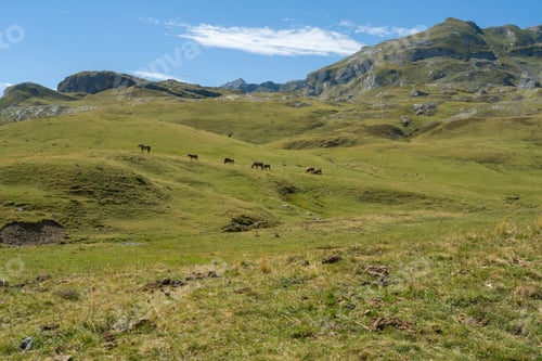 Preview: Ossau Valley National Park Of The Pyrenees France