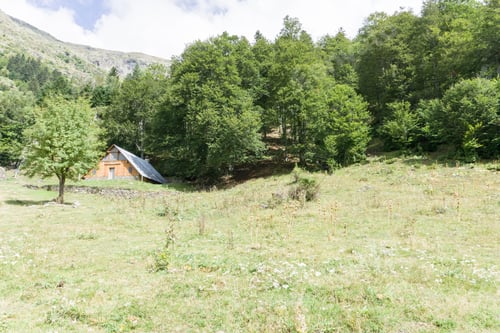 Preview: Landscape Aran Valley Lleida Catalunya Spain