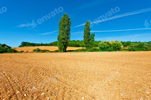 Preview: Plowed Sloping Fields Of France In The Autumn