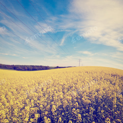 Preview: High-Voltage Power Line Passes Through The Fields In Germany, Retro Effect