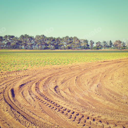 Preview: Sprinkler Irrigation On A Field In Portugal, Instagram Effect