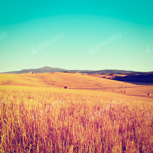 Preview: Tuscany Landscape With Many Hay Bales In The Morning, Instagram Effect