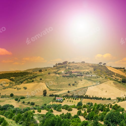 Preview: Sicilian Landscape At Sunrise, Hills, Fields, Flowers, Pasture And Sunlight
