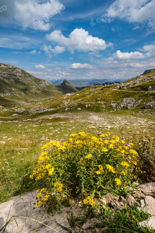 Preview: Picturesque Summer Mountain Landscape Of Durmitor National Park, Montenegro, Europe, Balkans
