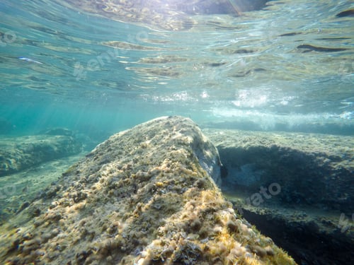 Preview: Under Water Image In Fustera Cove Benissa Alicante Spain