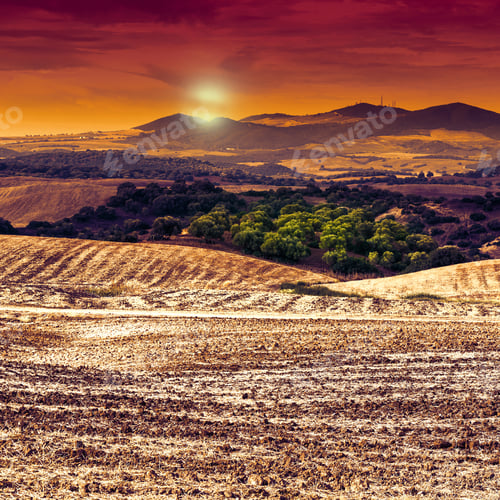 Preview: Fields In Spain After Harvesting At Sunrise. Breathtaking Landscape And Nature Of The Iberian