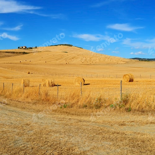 Preview: Tuscany Landscape With Farmhouse And Many Hay Bales , Instagram Effect