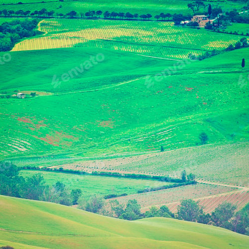 Preview: Tuscan Landscape With Vineyards And Pasture, Instagram Effect