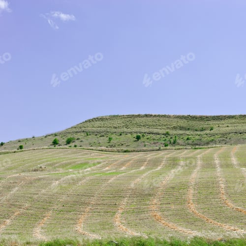 Preview: Mown Field On The Hill In Sicily, Italy