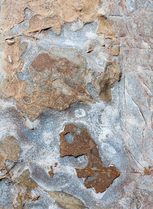 Preview: Stony Background Macro With Interesting Abstract Tracery.
