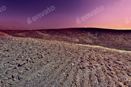 Preview: Plowed Sloping Hills Of Sicily In The Spring At Sunset