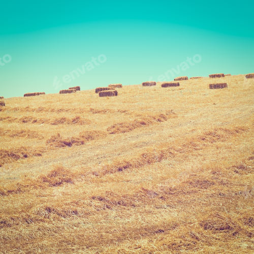 Preview: Landscape Of Sicily With Many Hay Briquettes, Instagram Effect