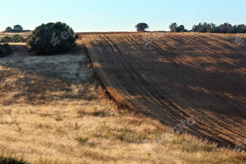 Preview: Beautiful Landscape Of Sicily Summer Countryside In Italy.